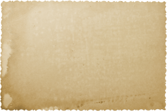 Paper Strutter Sopwith 1-1/2 Strutter | Hangar 32